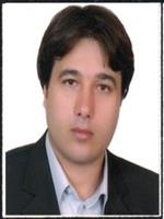 فاضل امیری