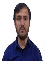 محمدرضا قیصری
