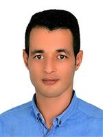 سید مصطفی هاشمی